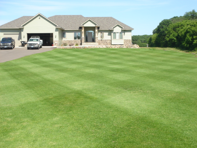 Well groomed lawn