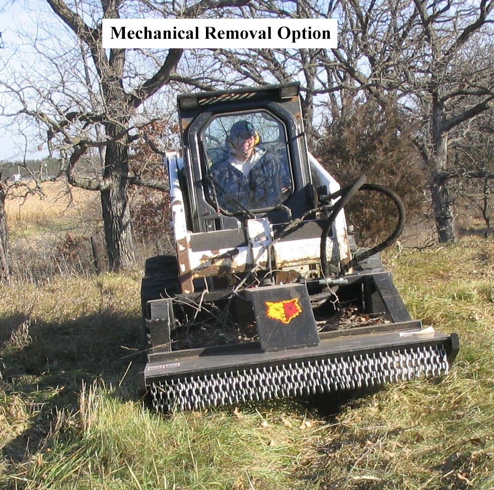 Ryan in Bobcat