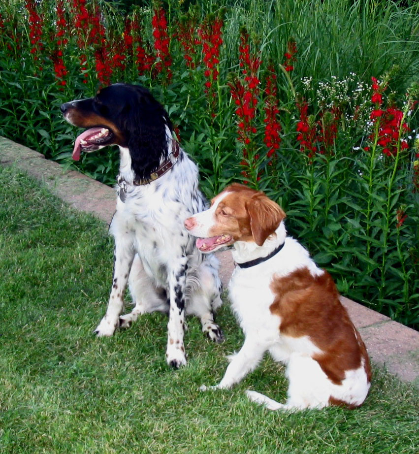 Kaylee and Riley